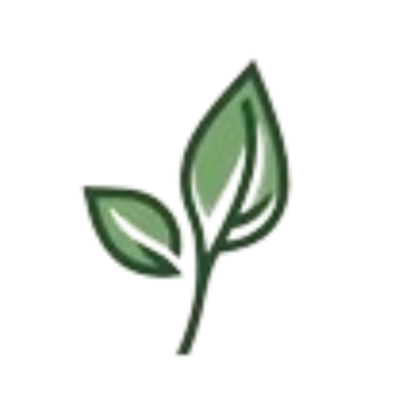 LeviLauncher — Free Download. Minecraft Bedrock manager
